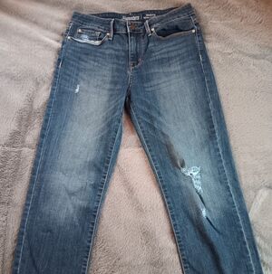 Signature by Levi Strauss Women's Straight Leg Jeans in Dark Blue